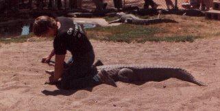 Gator Wrestling